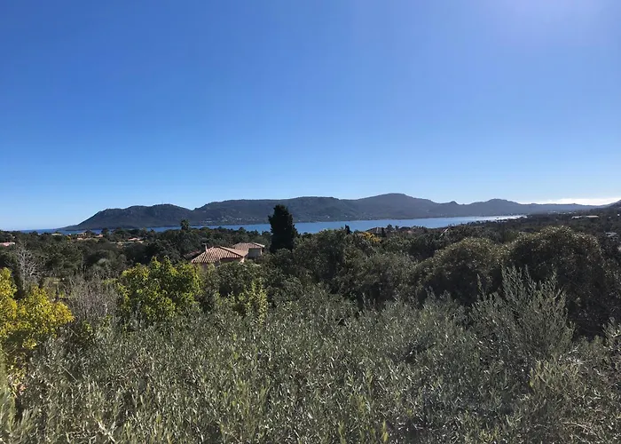 Daire Casa 'llu Pilota - Grand Dans Plein Sud Vue - Large In A South-facing With Sea View