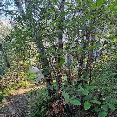 Casa 'llu Pilota - Grand Dans Plein Sud Vue - Large In A South-facing With Sea View