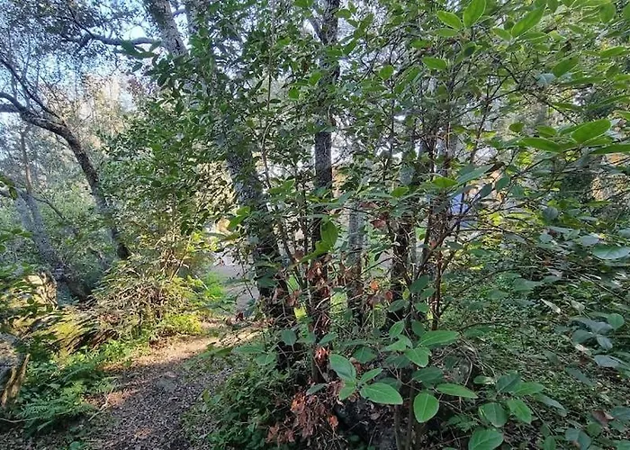 Casa 'llu Pilota - Grand Dans Plein Sud Vue - Large In A South-facing With Sea View